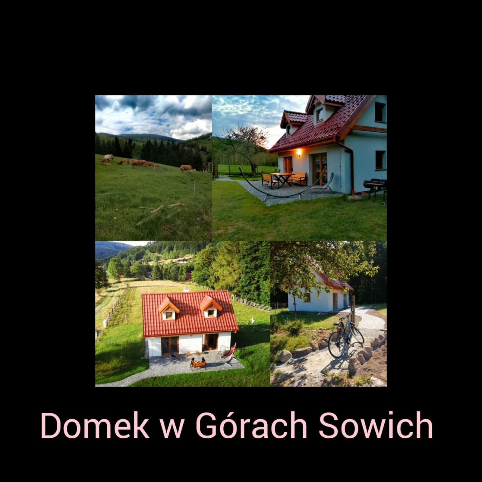Domek W Gorach Sowich Pieszyce Exterior photo