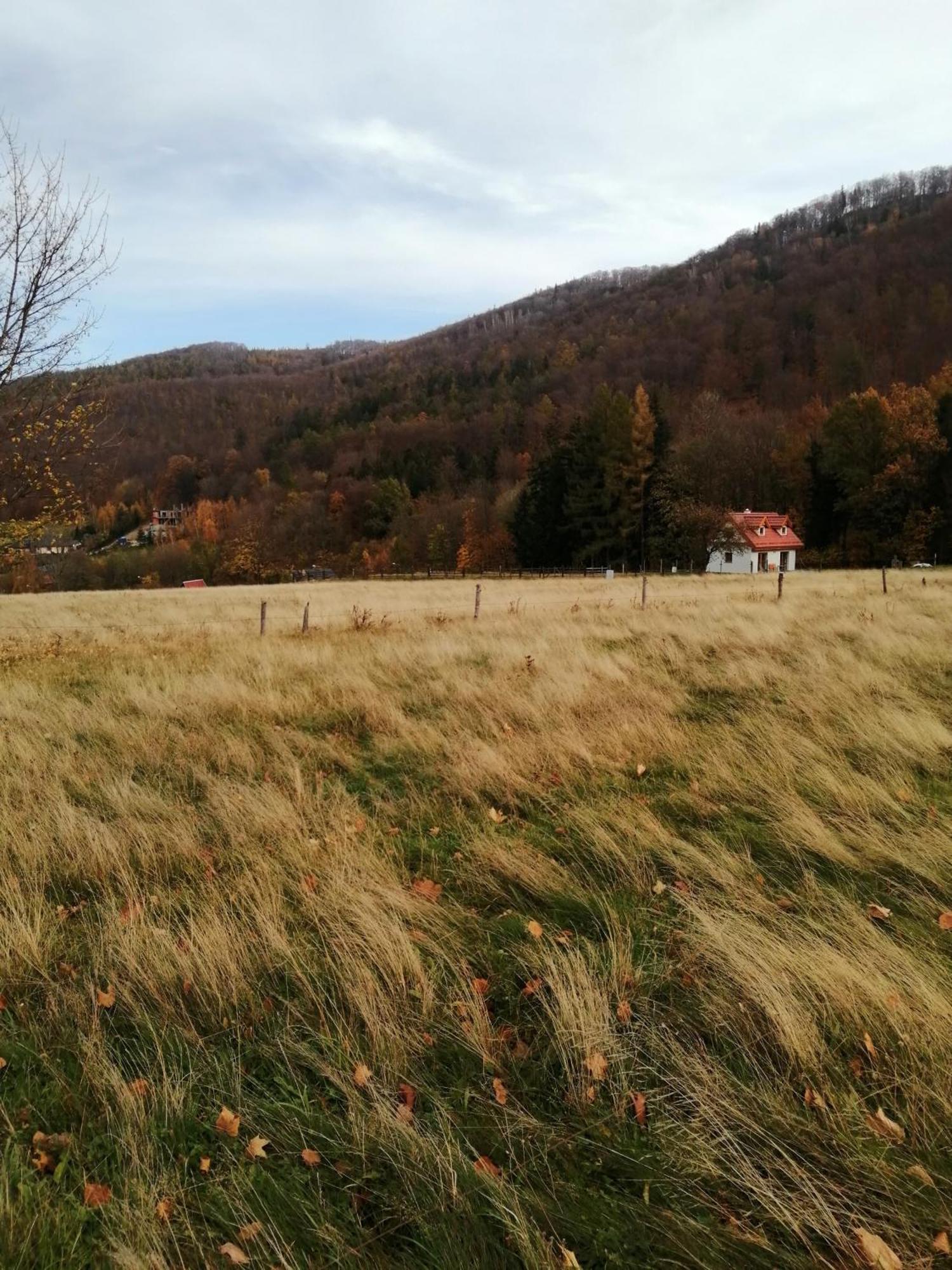 Domek W Gorach Sowich Pieszyce Exterior photo